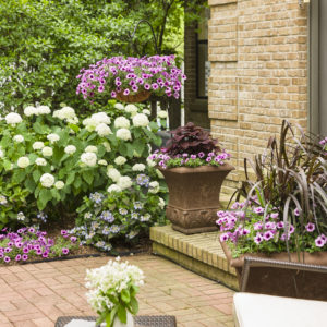 bordeaux_patio_2017_033 bordeaux_patio_2017_033