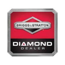 BriggsStratton 225x225