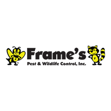 frames